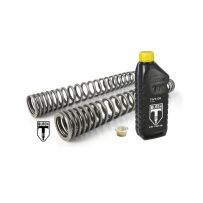 Ressorts de fourche progressifs Black-T Stage1 pour BMW R18 (2020-)