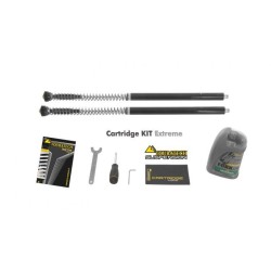 Kit Touratech Suspension Cartridge abaissement -20mm pour Triumph Tiger 900 Rallye Pro à partir de 2020