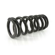 Ressorts de remplacement progressifs pour fourche et amortisseur pour BMW RnineT Scrambler / Urban G/S (2021-)
