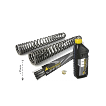 Ressorts de fourche progressifs pour CFMOTO 800MT (2021-) abaissement de 25mm