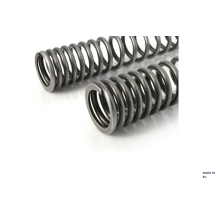 Ressorts de fourche progressifs pour Husqvarna Norden 901 Expedition (2023-)