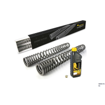 Ressorts de fourche progressifs pour Husqvarna Norden 901 Expedition (2023-)