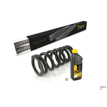 essorts de rechange progressifs pour fourche et ressort-amortisseur pour Husqvarna Norden 901 Expedition (2023-)