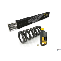 essorts de rechange progressifs pour fourche et ressort-amortisseur pour Husqvarna Norden 901 Expedition (2023-)