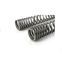 Ressorts de fourche progressifs pour BMW R12 G/S (2025-)