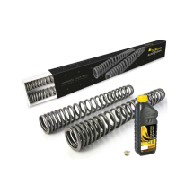 Ressorts de fourche progressifs pour BMW R12 G/S (2025-)