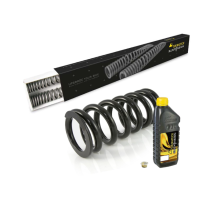 Ressorts de rechange progressifs pour fourche et ressort-amortisseur pour BMW R12 G/S (2025-)