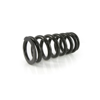 Abaissement de -25mm BMW R12 G/S (2025-), ressort de rechange