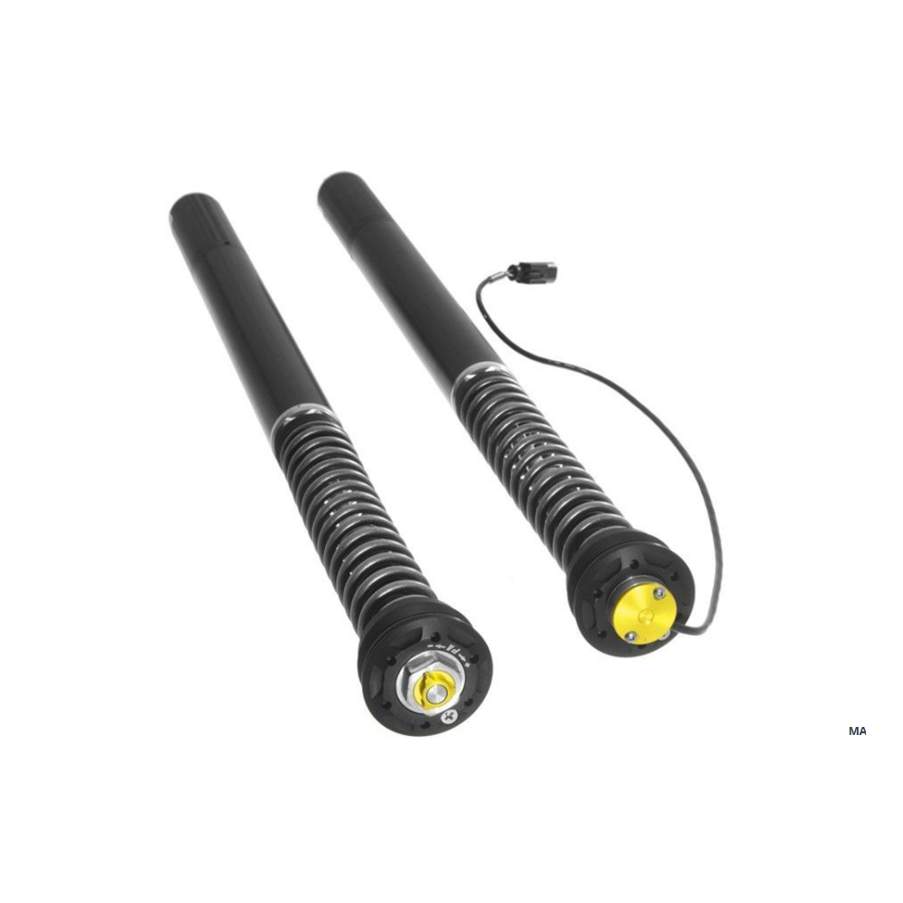 Touratech Suspension Cartridge Plug&Travel pour BMW R1250R (2018-)