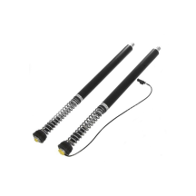 Touratech Suspension Cartridge Plug&Travel pour BMW R1250R (2018-)