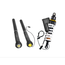 Touratech Suspension Set Cartridge et Amortisseur Plug&Travel pour BMW R1250R (2018-)