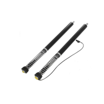 Touratech Suspension Cartridge Plug&Travel pour BMW R1250RS (2018-)