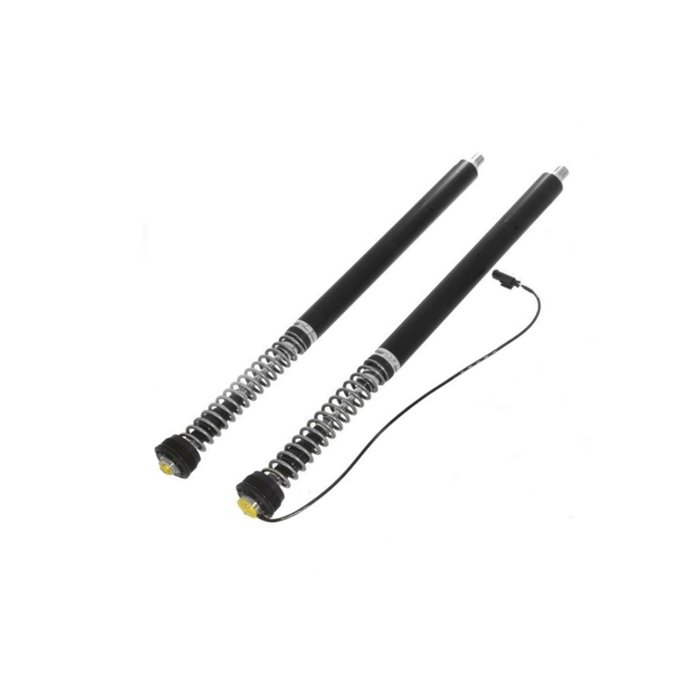 Touratech Suspension Cartridge Plug&Travel pour BMW R1250RS (2018-)