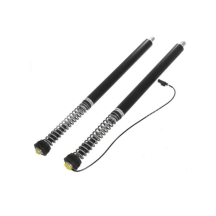 Touratech Suspension Set Cartridge et Amortisseur Plug&Travel pour BMW R1250RS (2018-)