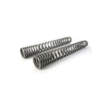 Ressorts de fourche progressifs pour Yamaha 700 Ténéré Rally (2025-)