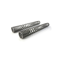 Ressorts de fourche progressifs pour Yamaha 700 Ténéré Rally (2025-)