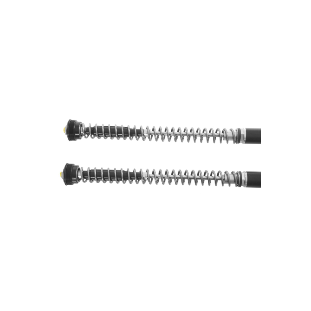 Kit d'abaissement -30mm Kit Cartouche et Amortisseur Extreme2 pour BMW R12 G/S (2025-)