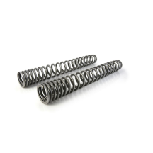 Ressorts de rechange progressifs pour fourche et ressort-amortisseur pour VOGE DS 625 X (2025-)