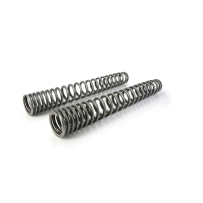 Ressorts de rechange progressifs pour fourche et ressort-amortisseur pour VOGE DS 625 X (2025-)