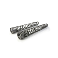 Ressorts de rechange progressifs pour fourche et ressort-amortisseur pour VOGE DS 800 X Rally (2025-)