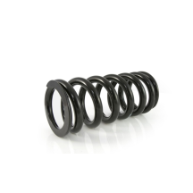 Ressorts de rechange progressifs pour fourche et ressort-amortisseur pour VOGE DS 800 X Rally (2025-)