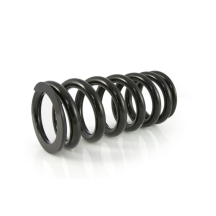Ressorts de rechange progressifs pour fourche et ressort-amortisseur pour VOGE DS 900 X (2025-)