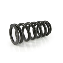 Ressorts de rechange progressifs pour fourche et ressort-amortisseur pour VOGE DS 900 X (2025-)