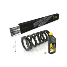 Touratech Suspension Kit d'abaissement -40mm pour Honda CRF300 L (2021-), Ressorts de remplacement