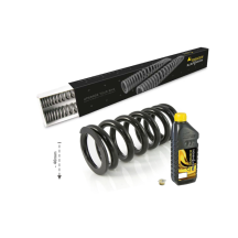 Touratech Suspension Kit d'abaissement -40mm pour Honda CRF300 Rally (2021-), Ressorts de remplacement