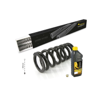 Touratech Suspension Kit d'abaissement -40mm pour Honda CRF300 Rally (2021-), Ressorts de remplacement